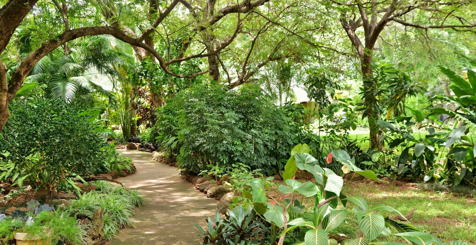 Bayete Guest Lodge Victoriawatervallen Buitenkant foto